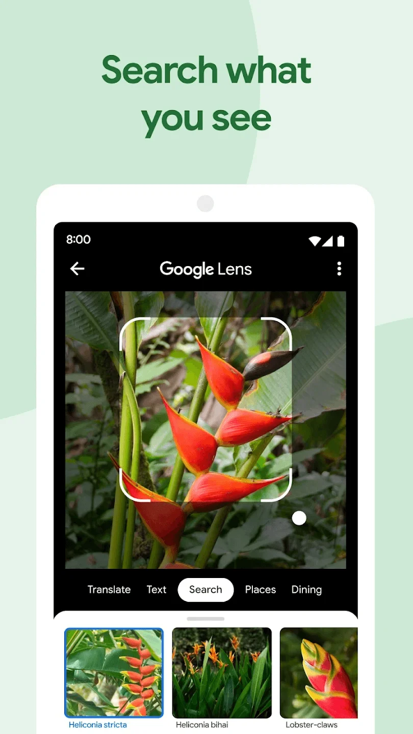 Google Photos 3