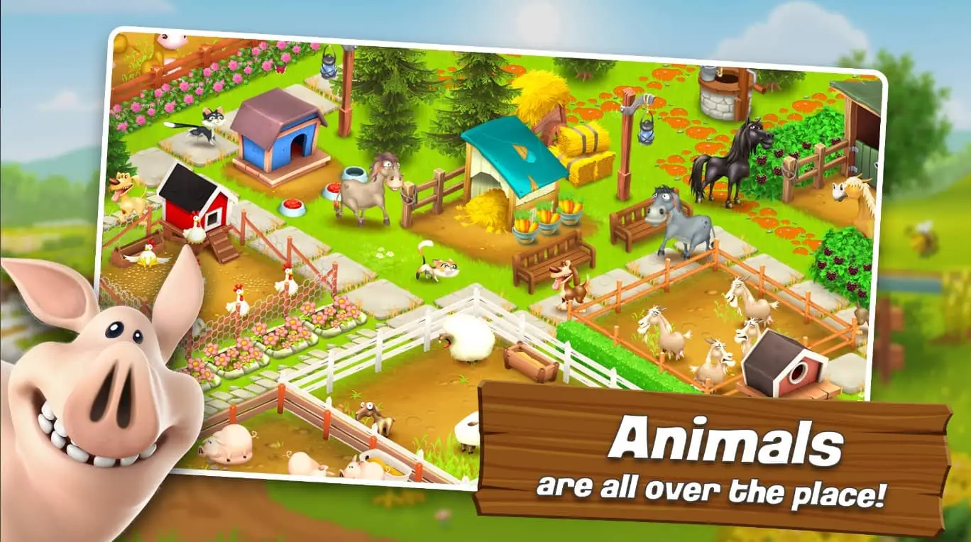 Hay Day03