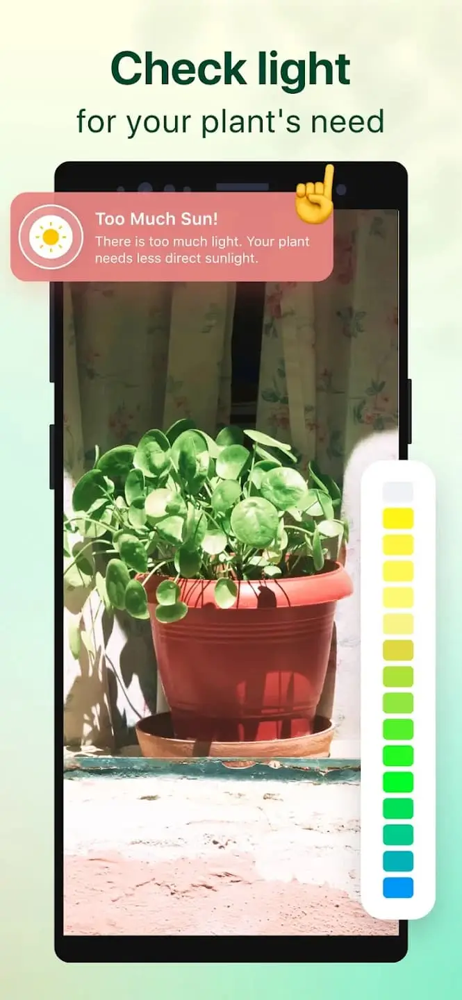 Plant Parent4